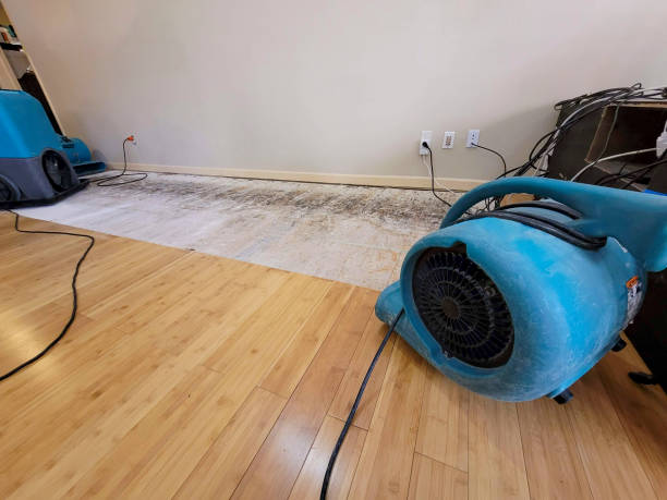 Professional Structural Drying technician working in Murfreesboro, TN